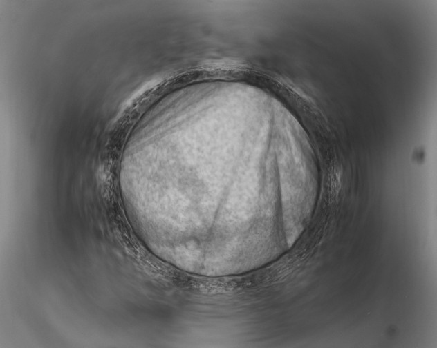 X0000116371254200912161430