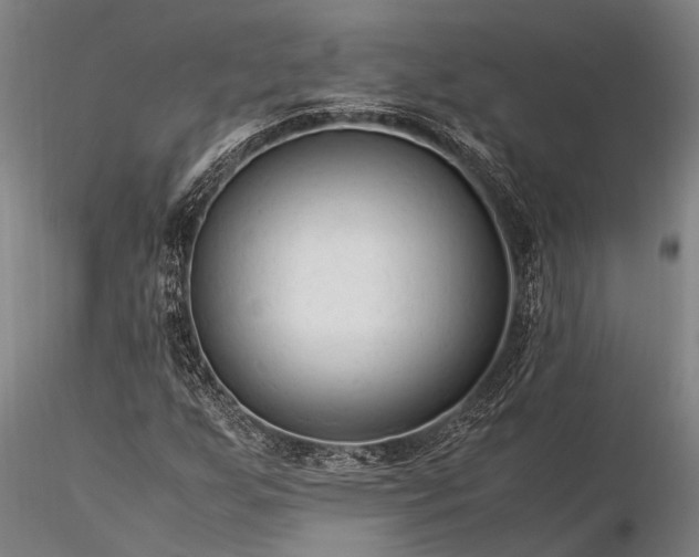 X0000116371255200912161430