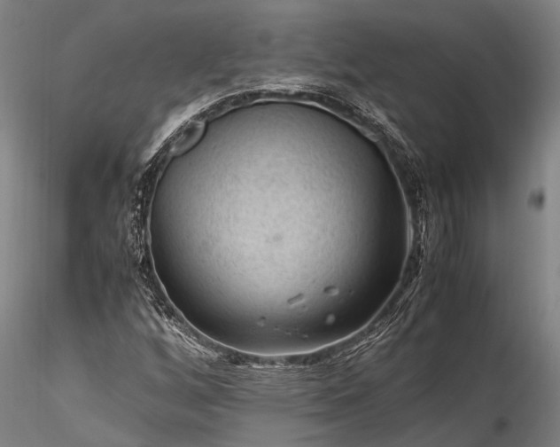 X0000116371256200912161430