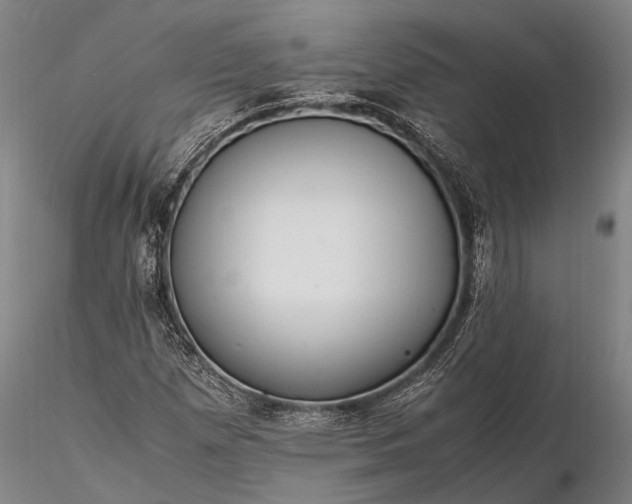 X0000116371257200912161430