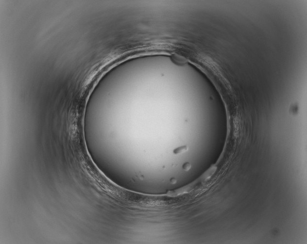 X0000116371260200912161430