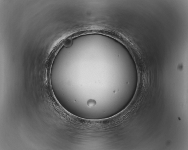 X0000116371262200912161430