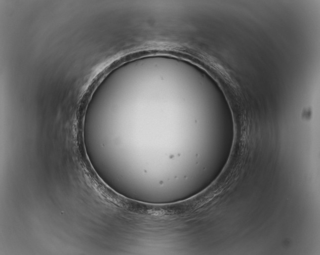 X0000116371264200912161430