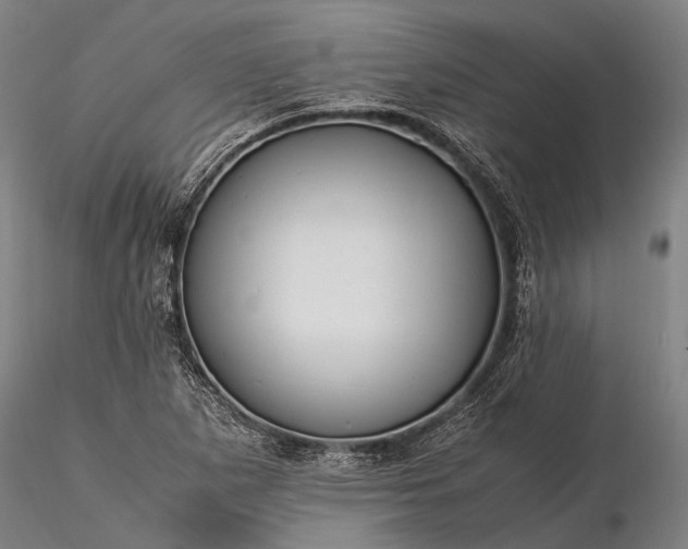 X0000116371265200912161430