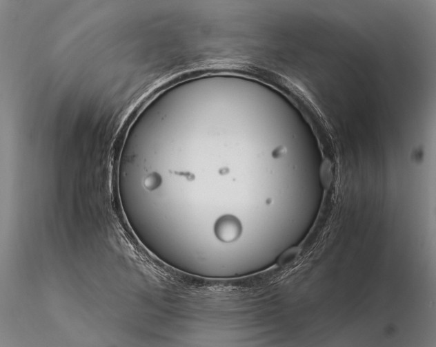 X0000116371268200912161430