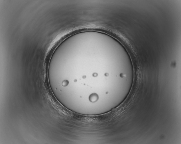 X0000116371270200912161430