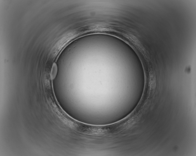 X0000116371273200912161430