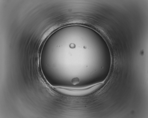 X0000116371274200912161430