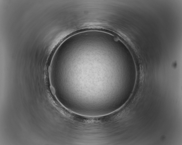 X0000116371277200912161430