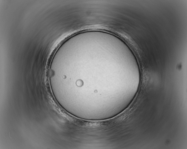 X0000116371278200912161430