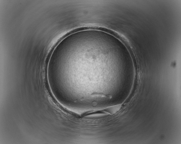 X0000116371279200912161430