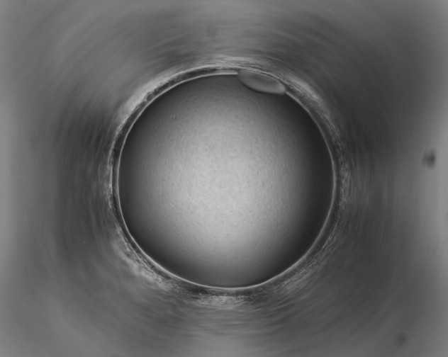 X0000116371280200912161430