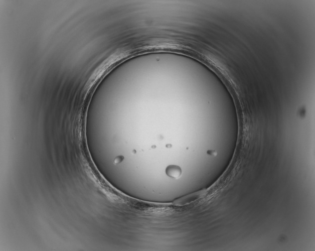 X0000116371282200912161430