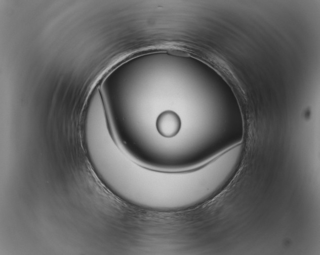 X0000116371284200912161430