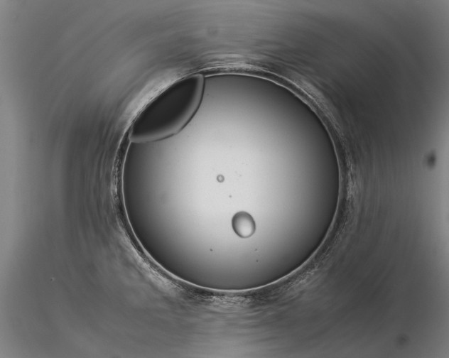 X0000116371285200912161430