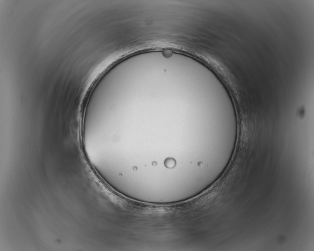 X0000116371286200912161430