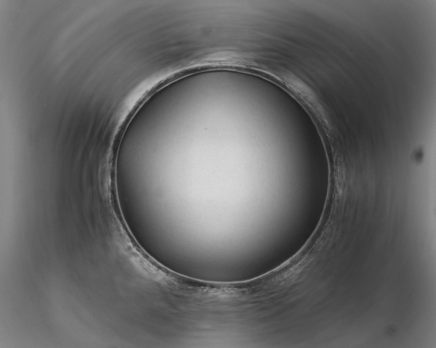 X0000116371288200912161430