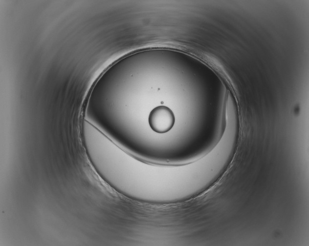 X0000116371292200912161429