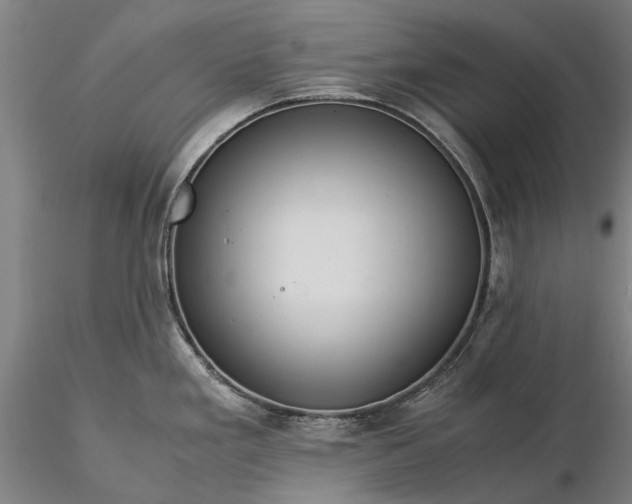 X0000116371293200912161429