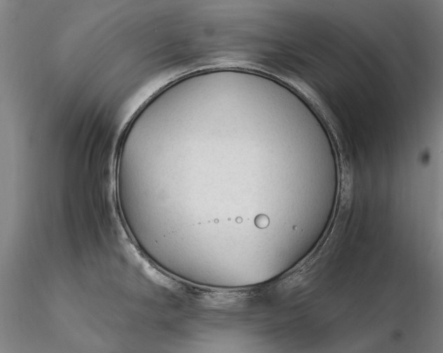 X0000116371294200912161429