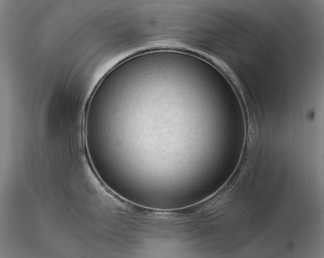 X0000116371295200912161429