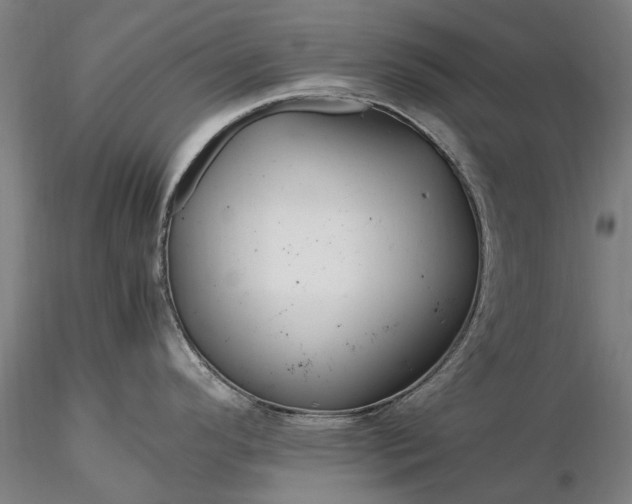 X0000116371296200912161429