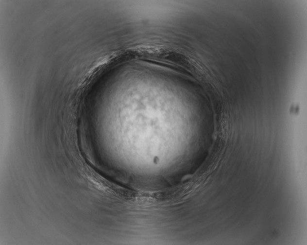 X0000116371297200912161429