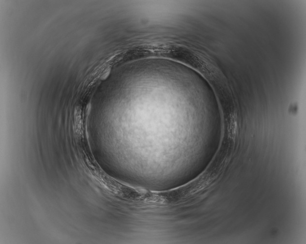 X0000116371298200912161429