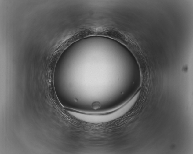 X0000116371301200912161429