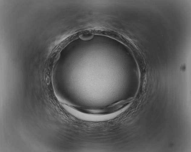 X0000116371303200912161429