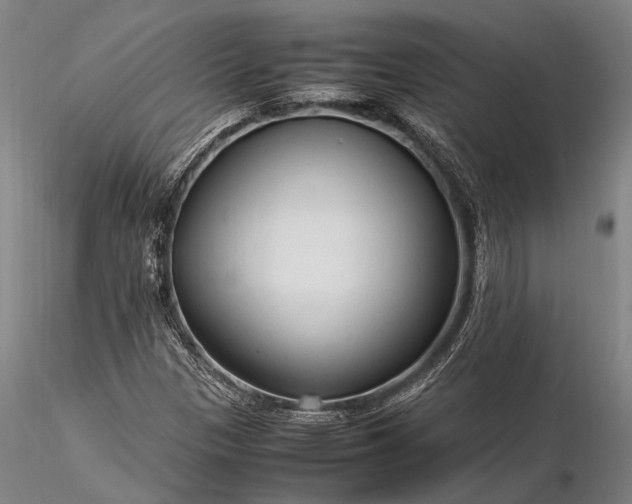 X0000116371305200912161429