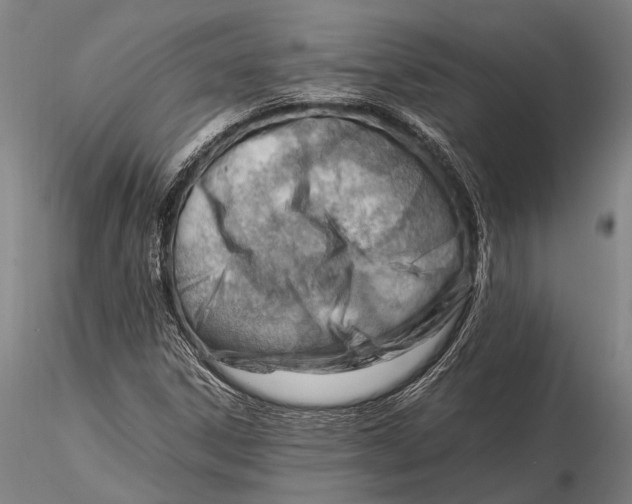 X0000116371306200912161429