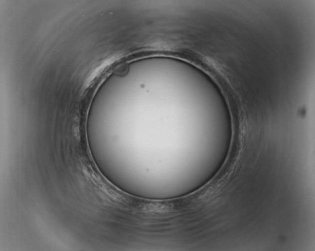 X0000116371307200912161429