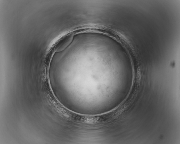 X0000116371310200912161429