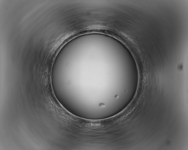 X0000116371313200912161429