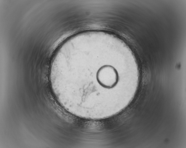 X0000116371314200912161429