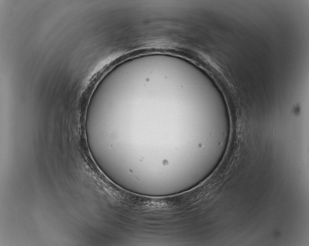 X0000116371315200912161429