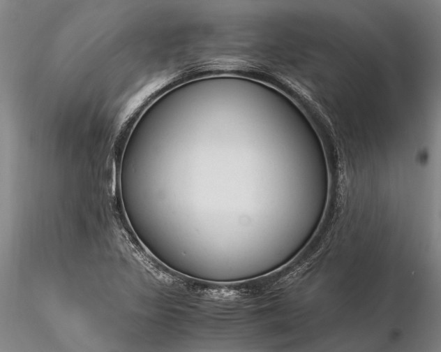 X0000116371317200912161429