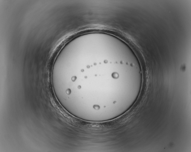 X0000116371318200912161429