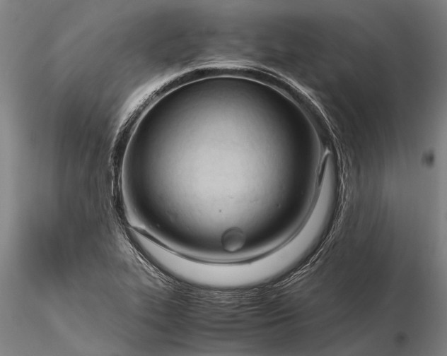 X0000116371319200912161429