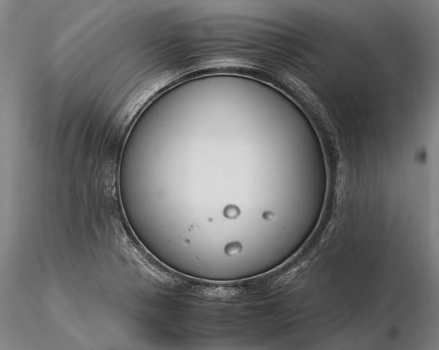 X0000116371321200912161429