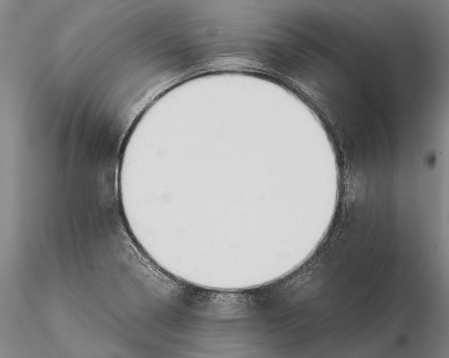 X0000116371322200912161429