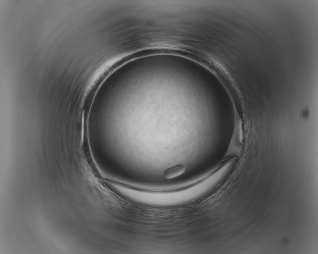 X0000116371323200912161429