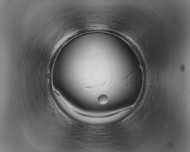 X0000116371325200912161429