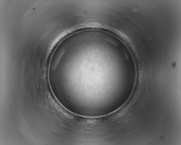 X0000116371326200912161429