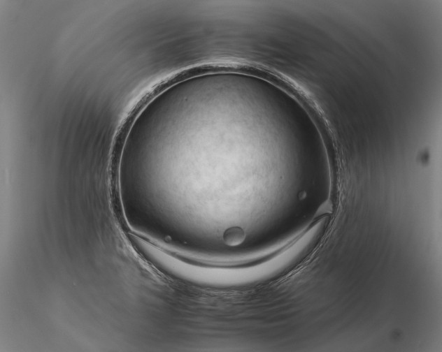 X0000116371327200912161429