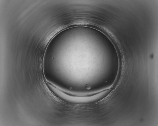 X0000116371329200912161429