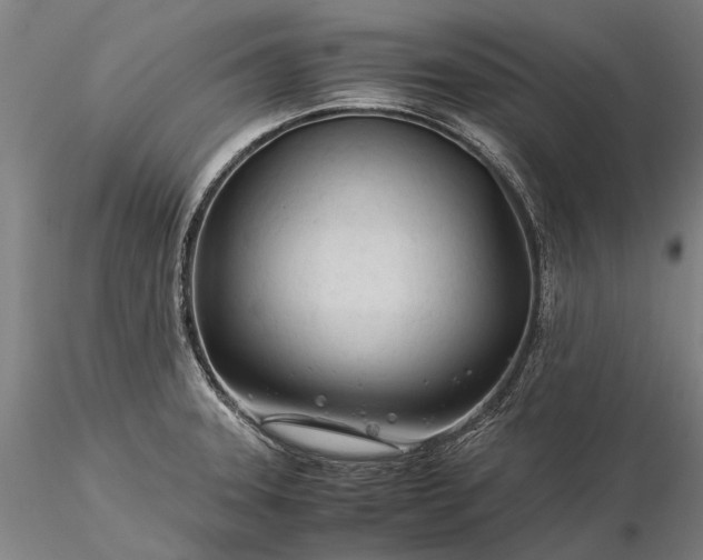 X0000116371331200912161429