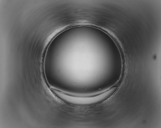 X0000116371333200912161429