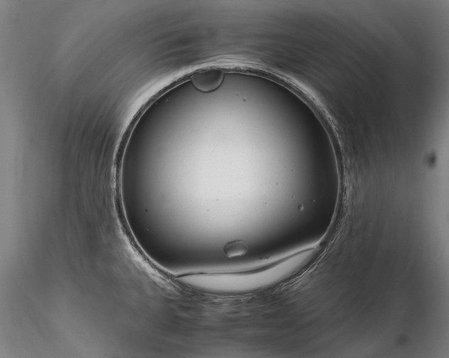 X0000116371335200912161429